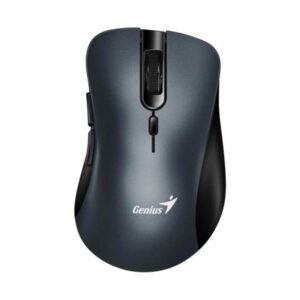 MOUSE GENIUS RS2 ERGO 8100S INALÁMBRICO CON RECEPTOR 1200 DPI 31030040401 GRIS